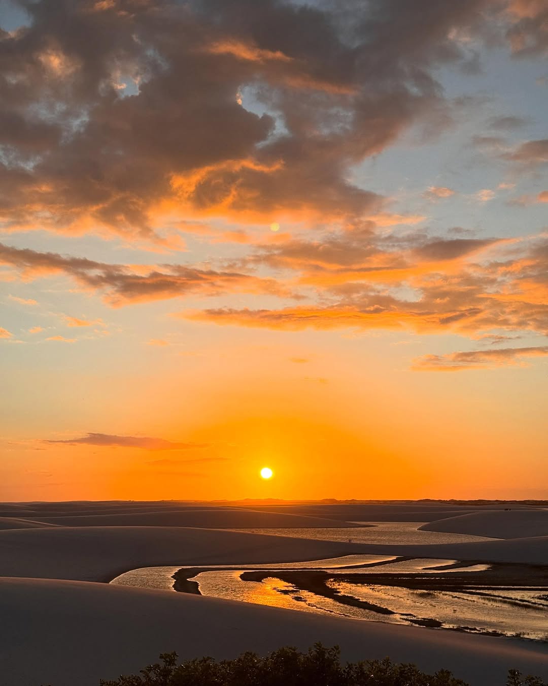 tainahbonazzi_20888386f712437ea18ede50b09893c5