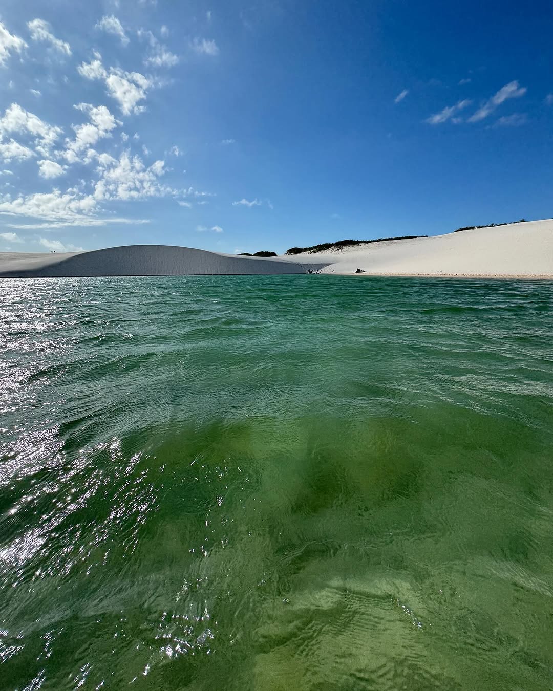 tainahbonazzi_488f2fde01b7453fb98ff1e6e349a22b