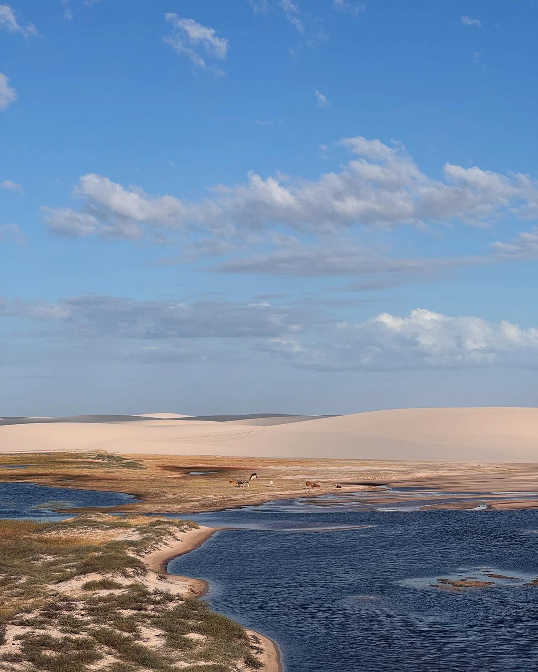 tainahbonazzi_4dc6ac1b5b6b4b0fb7caf6134b0ea9b0