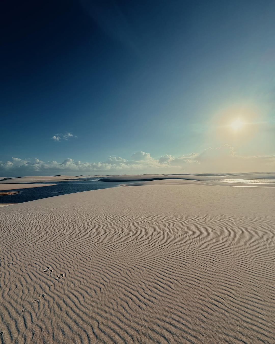 tainahbonazzi_fe243d6d5a87423ea05d5ba9fabb56a7